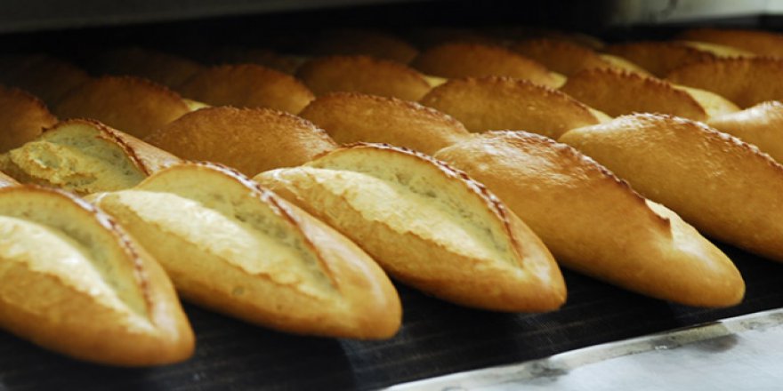 Kendi ekmeğini üreten üniversite israfın önüne geçti