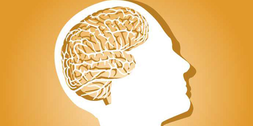 Dünyanın en kısa IQ testi sadece 3 soru