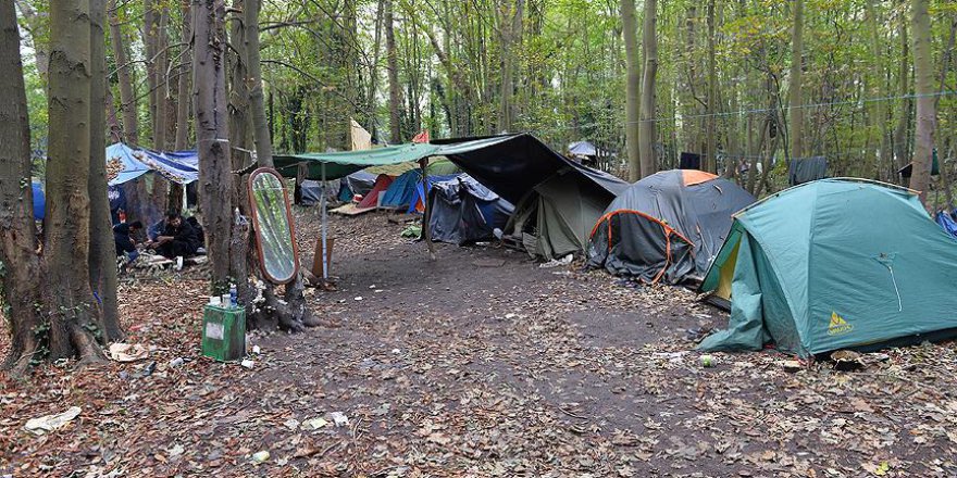 Fransa'da sığınmacılara yardım eden çiftçiye ceza