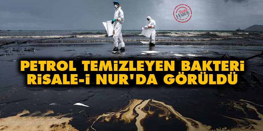 Petrol temizleyen bakteri Risale-i Nur'da görüldü