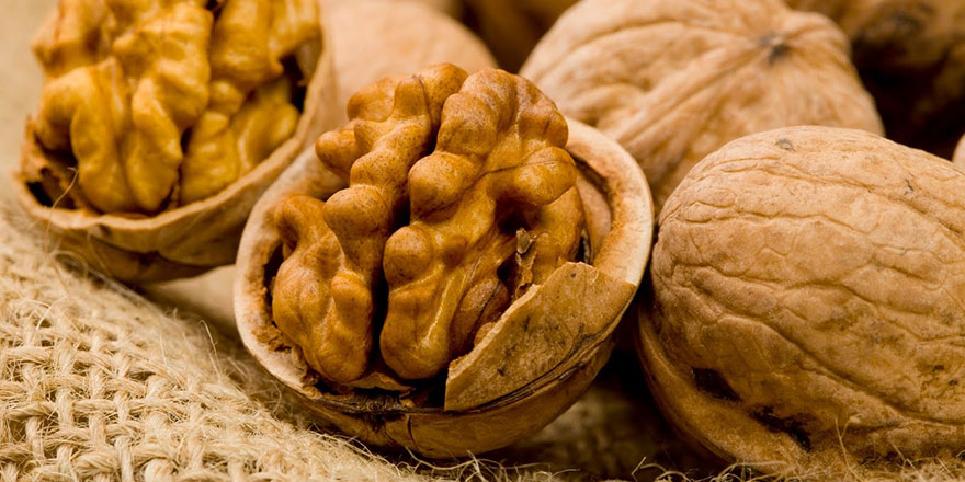 Cevizin faydaları nelerdir, ceviz nelere iyi gelir?