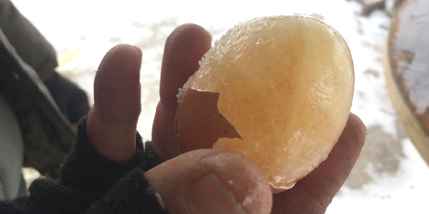 Soğuktan yumurtalar bile dondu