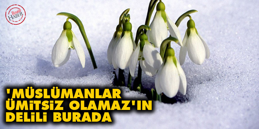 'Müslümanlar ümitsiz olamaz'ın delili burada