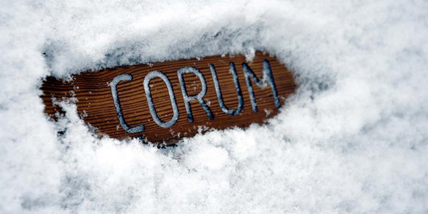 'FETÖ/PDY soruşturmalarında en çok gizli tanık Çorum'da