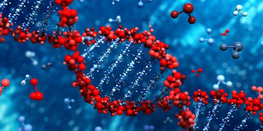 Kültür farklılığı ile DNA da değişiyor