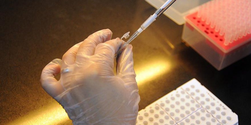 Kanserin yayılması yüzde 75 engellendi