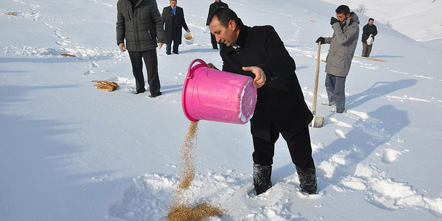 Camiden aç hayvanlar için anons yapıldı