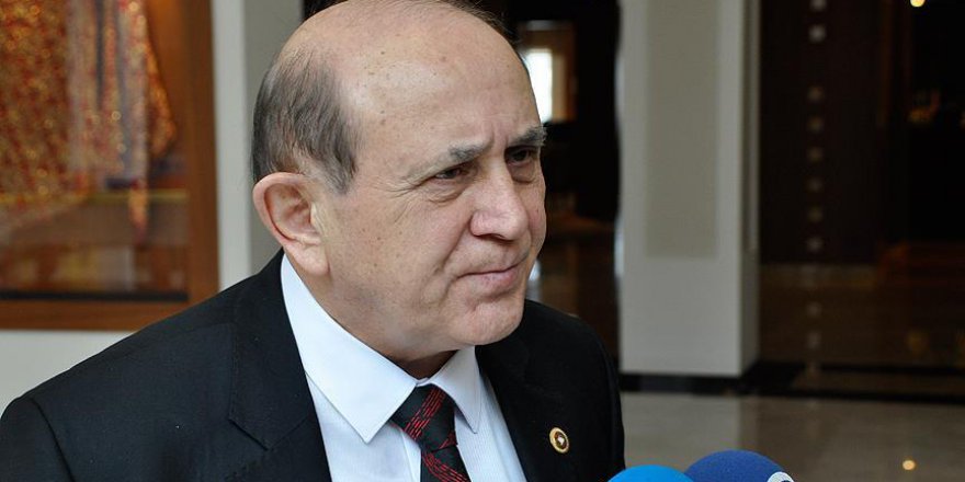 'Cumhurbaşkanlığı sistemi Türkiye'yi normalleştirecek bir model'