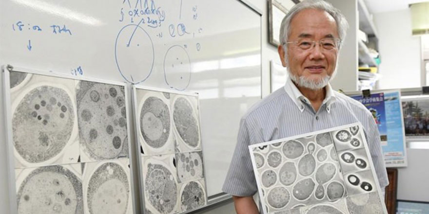 Nobelli japon bilim adamından 'oruç' ispatı