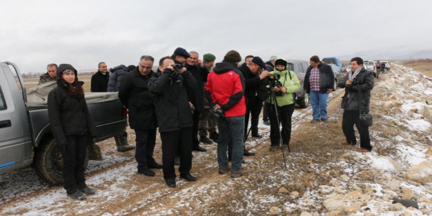 Burdur'da kuş sayımı yapılıyor