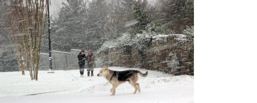 Çamlıca tepesi beyaza büründü