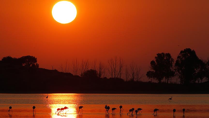 '303 göl ve sulak alanda çalışma yapılacak'