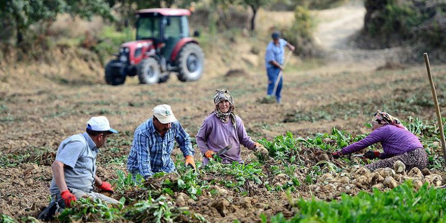 Nüfusun yüzde 8'i köyde yaşıyor
