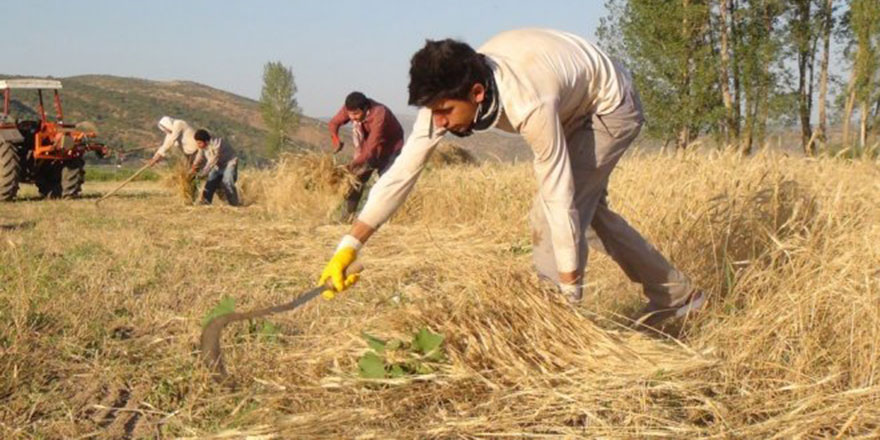 İşte Türkiye'nin köylü ve şehirli nüfusu