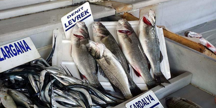 'Levrek ve çipura omega 3 zengini'