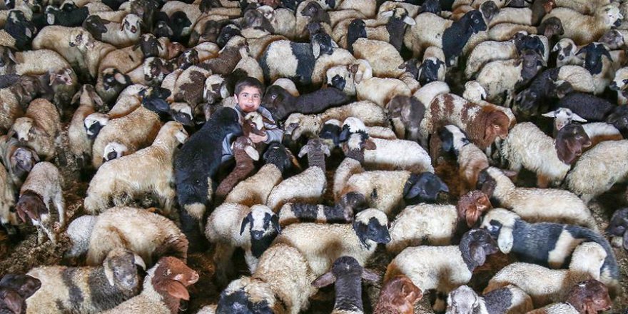 'Baharın müjdecileri' yaratıldı