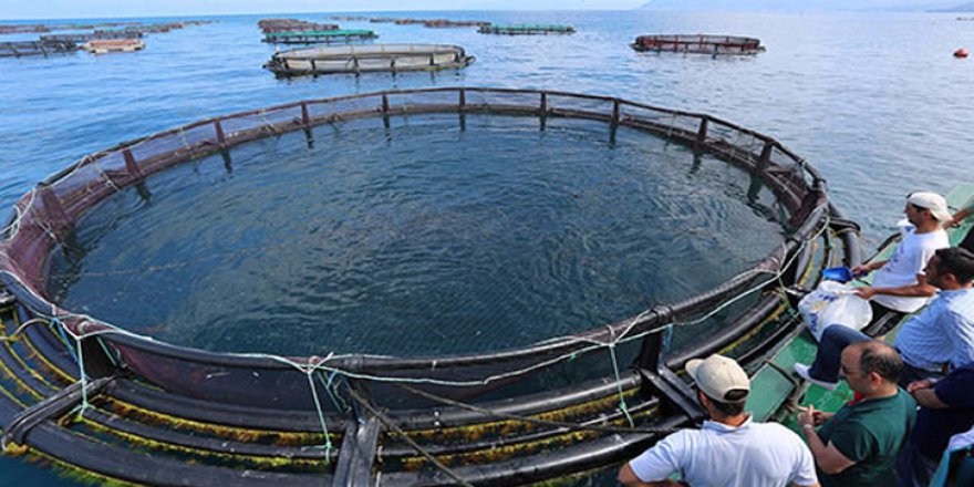Türkiye için korkutan 'su' uyarısı