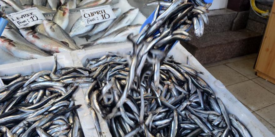 Hamsi az da olsa tezgahlarda yüzünü gösterdi