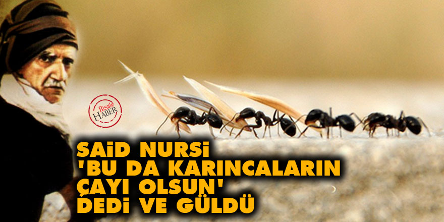 Said Nursi, 'Bu da karıncaların çayı olsun' dedi ve güldü