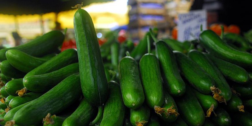 Şubat'ta zam şampiyonu salatalık