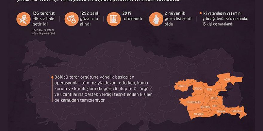 Terör örgütü PKK'ya şubat ayında da ağır darbe