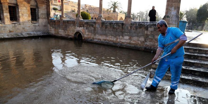 Balıklıgöl'de temizlik çalışması devam ediyor
