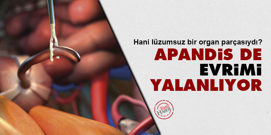 Apandis de Evrimi yalanlıyor