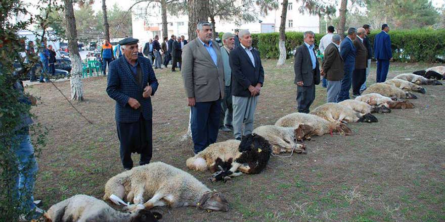 İşte vekaletle kurban fiyatları