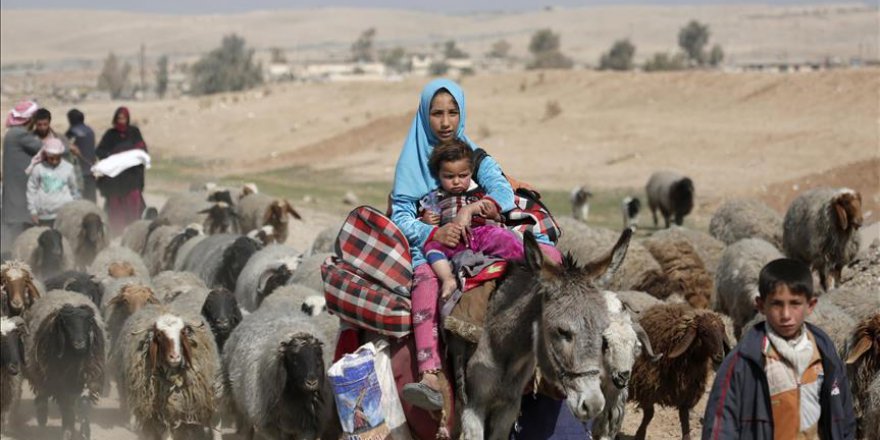 Genç çiftçiler hibe desteğiyle kivi bahçesi kurdu