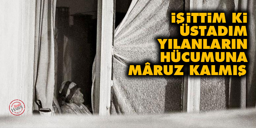 İşittim ki, Üstadım yılanların hücumuna mâruz kalmış