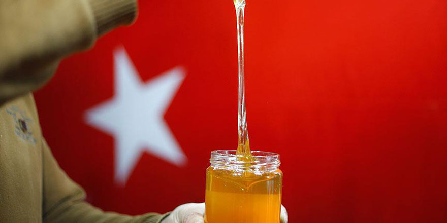 Arı bedava yapıyor insanlar kilosunu 5 bin avrodan satıyor