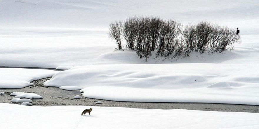 Türkiye'nin en soğuk 5 ili belli oldu