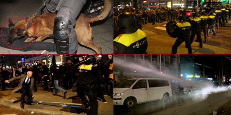 İşte Hollandalı ırkçı siyasetçilerin nefret söylemleri