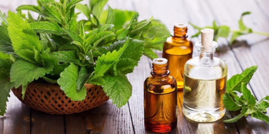 Nane yağı ile iştahınızı azaltın!