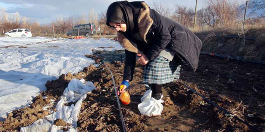İmam hatip öğrencisinden tarım için müthiş buluş