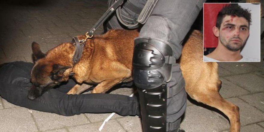 Hollanda polisinin saldırısına uğrayan Hüseyin Kurt Türkiye'de