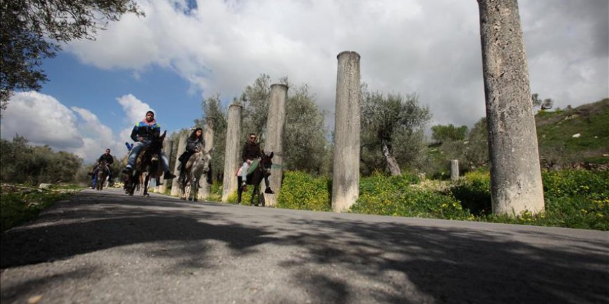 Filistin'de 'merkep' üzerinde tarih yolculuğu
