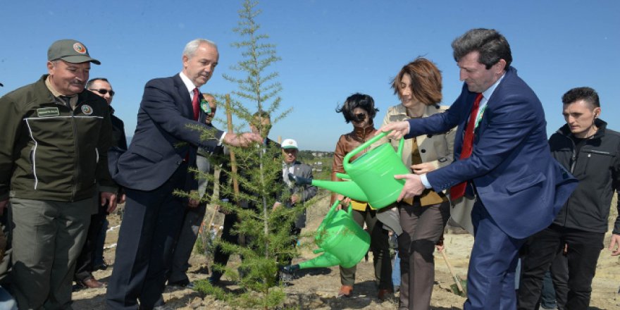 Çanakkale'de "15 Temmuz Demokrasi Şehitleri Hatıra Ormanı"