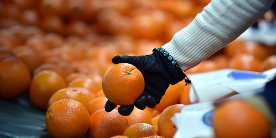 Portakalın fiyatı arttı, yeşil soğan ve salatalık ucuzladı