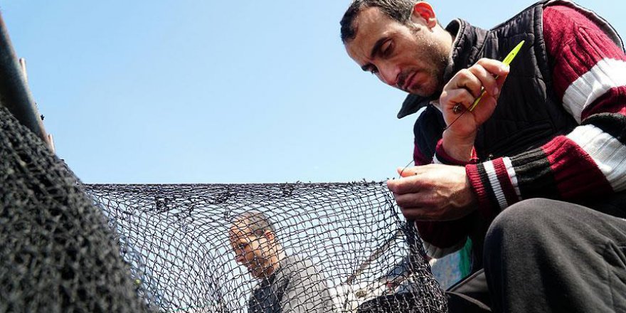 Balıkçıların son umudu 'istavrit'