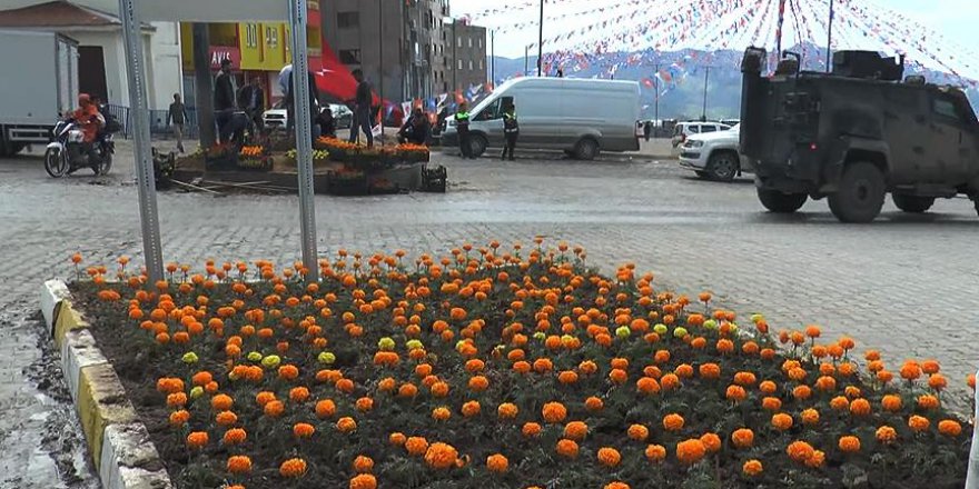 Şırnak çiçek bahçesine dönüşüyor