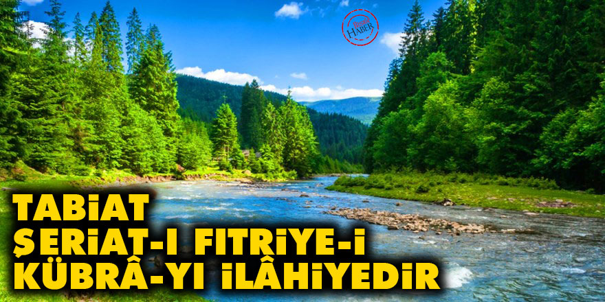 Tabiat, şeriat-ı fıtriye-i kübrâ-yı İlâhiyedir