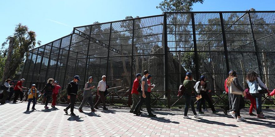 Mersin'de otizmli çocuklar hayvanlarla tanıştı