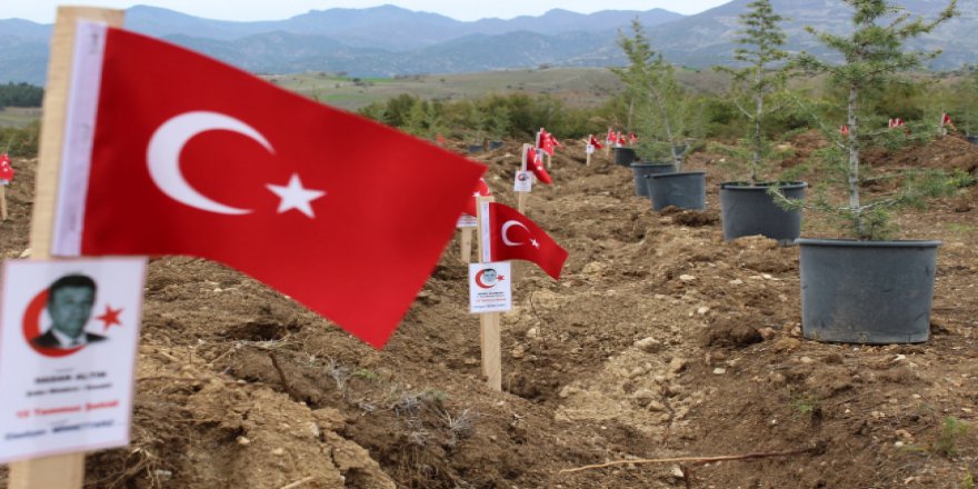 Tokat'ta 15 Temmuz Şehitleri hatıra ormanı