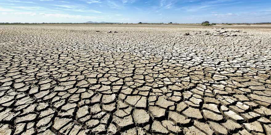 Güney Afrika’da kuraklık nedeniyle "ulusal felaket" ilan edildi