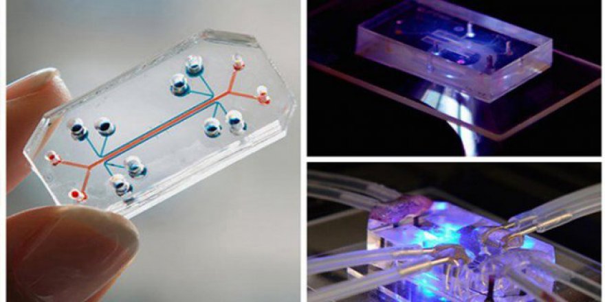 'Bilim Seyyahları Projesi 4' başladı