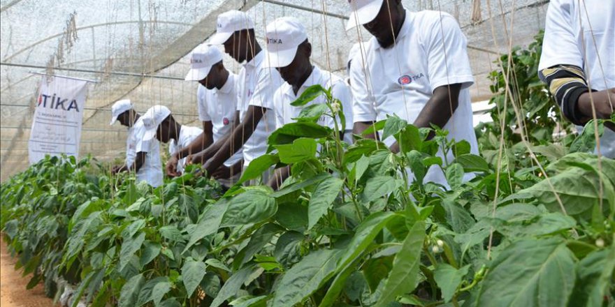 TİKA, Somali Anadolu Ziraat Fakültesi binasını hizmete açtı