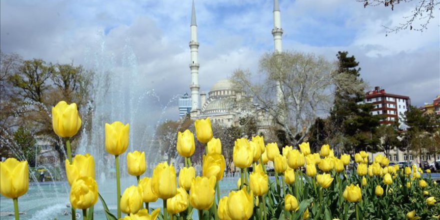'Konya'da 'lale mevsimi' yaşanıyor'