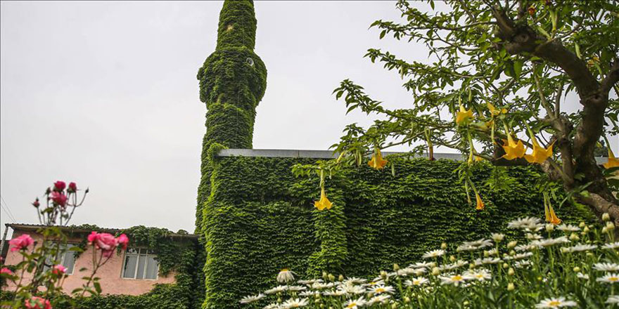 Çevre dostu camiler geliyor