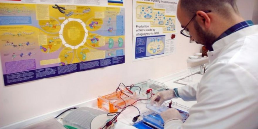 Türk bilim insanlarından 'kanser tanı kiti'
